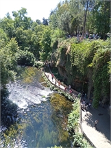 IMG_20240507_112251_665